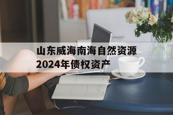 山东威海南海自然资源2024年债权资产