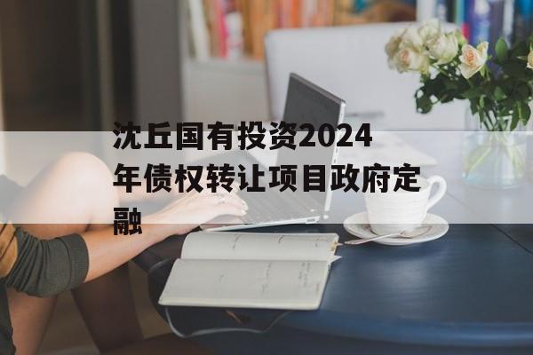 沈丘国有投资2024年债权转让项目政府定融