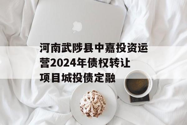 河南武陟县中嘉投资运营2024年债权转让项目城投债定融