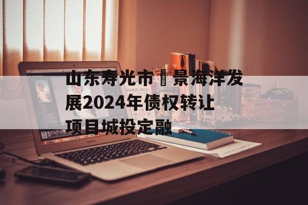 山东寿光市昇景海洋发展2024年债权转让项目城投定融