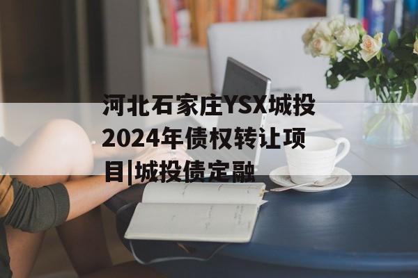 河北石家庄YSX城投2024年债权转让项目|城投债定融