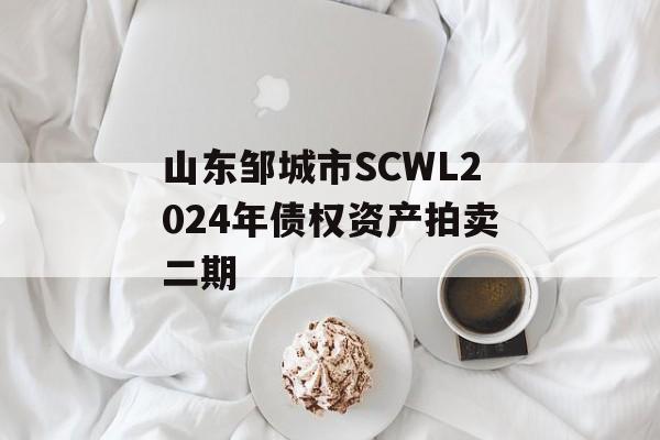 山东邹城市SCWL2024年债权资产拍卖二期