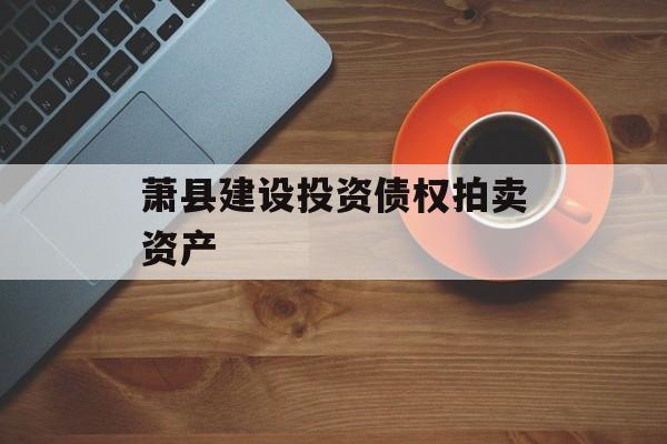 萧县建设投资债权拍卖资产