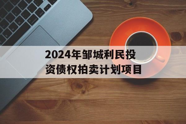 2024年邹城利民投资债权拍卖计划项目