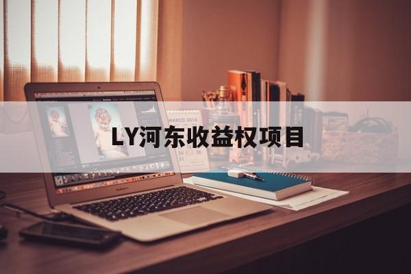 LY河东收益权项目