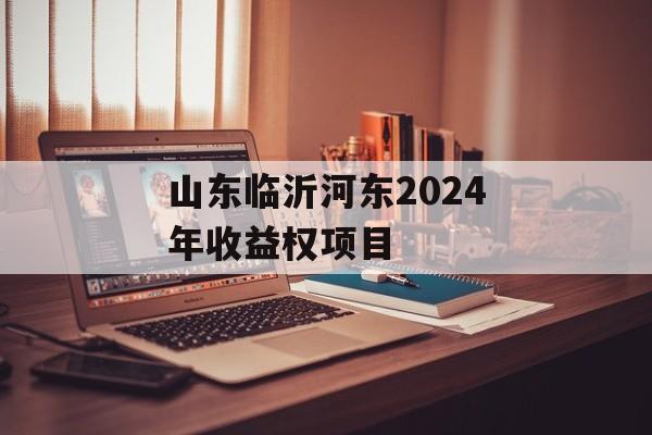 山东临沂河东2024年收益权项目