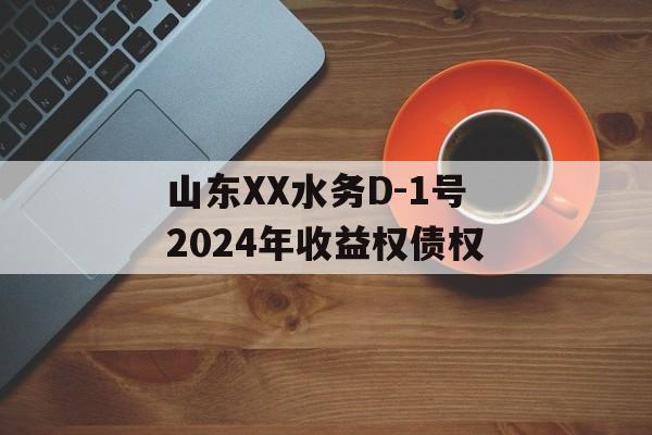 山东XX水务D-1号2024年收益权债权